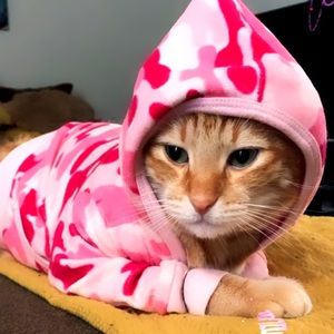 Meet your Posher, Crystal